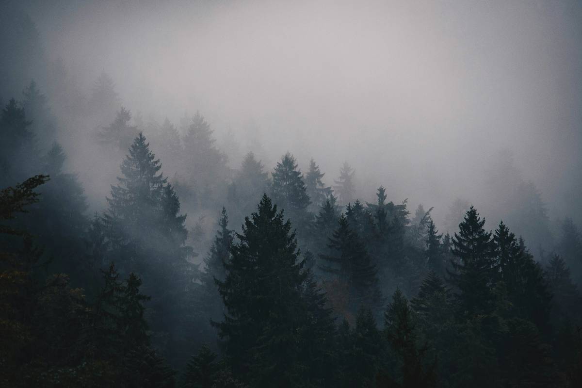 paranormal theme werewolf benefit of being: player character transforming under full moon in dark forest with glowing eyes and torn clothing