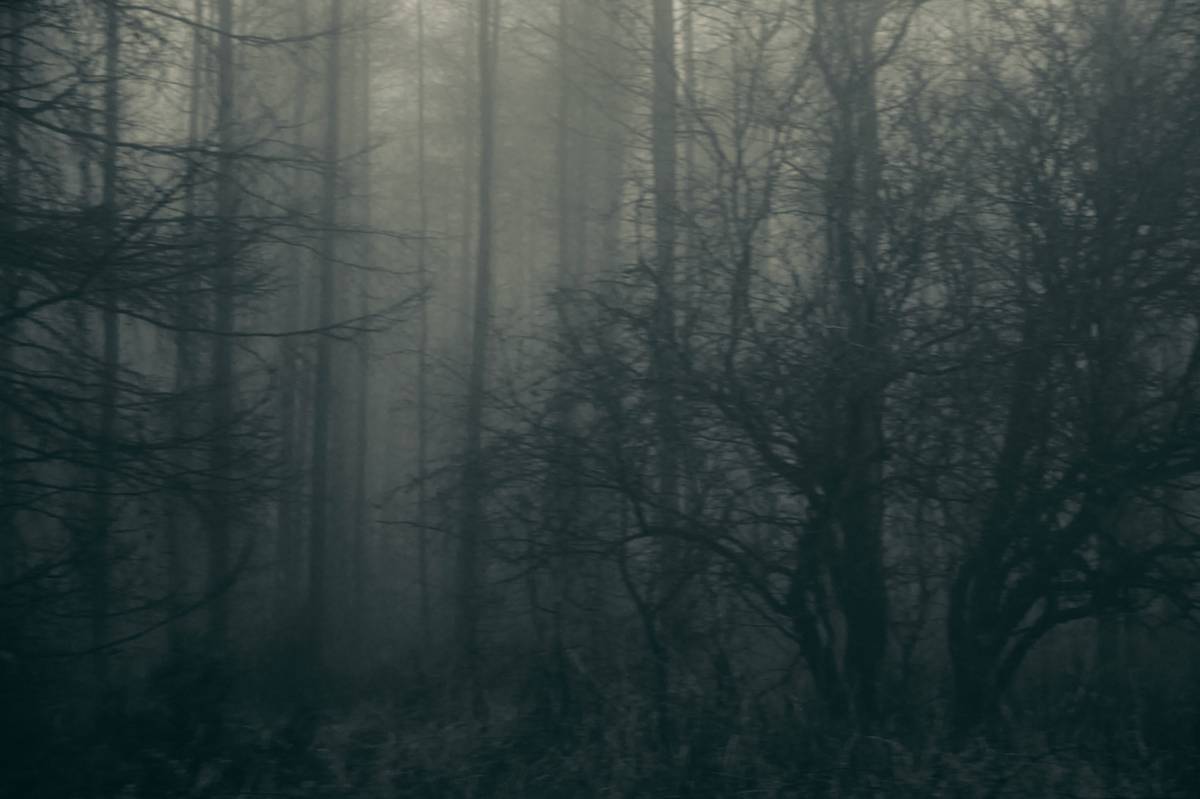 Fantasy Fiction Werewolf Not Much In: 7 Proven Ways to Avoid Painful Storytelling Mistakes