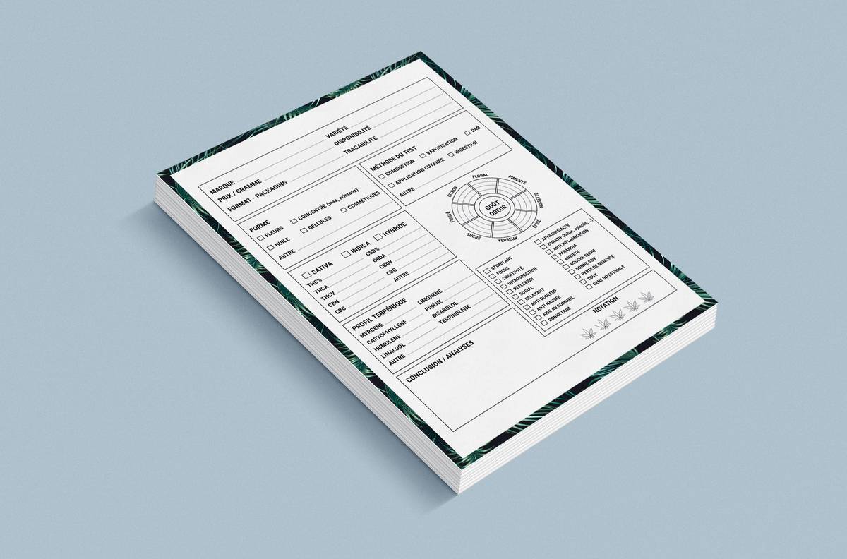 Werewolf Apocalypse Character Sheet: 7 Proven Tips to Avoid Painful Roleplay Mistakes