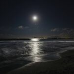 Paranormal Theme Werewolf in Love a: 7 Proven Ways to Avoid Painful Storytelling Mistakes