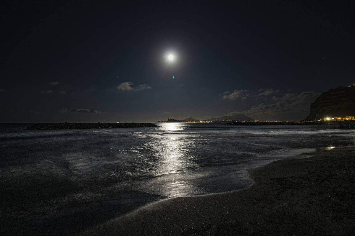 Paranormal Theme Werewolf in Love a: 7 Proven Ways to Avoid Painful Storytelling Mistakes