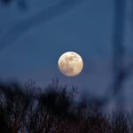 Supernatural Werewolf Stories: 7 Proven Tips to Avoid Painful Transformation Mistakes