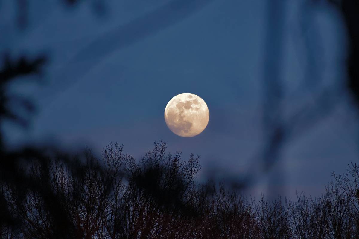 Supernatural Werewolf Stories: 7 Proven Tips to Avoid Painful Transformation Mistakes