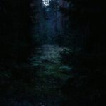 Paranormal Theme Werewolf Show Me A: 7 Proven Ways to Avoid Painful Gameplay Glitches